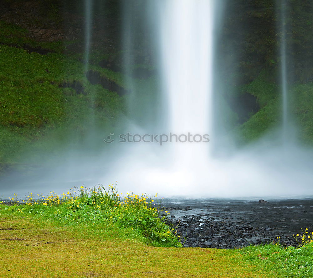 Image, Stock Photo Seljaland’s Fossus Nature