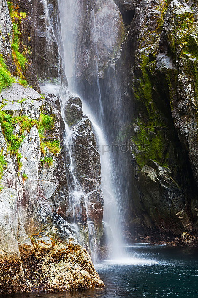 Similar – milford sound Environment