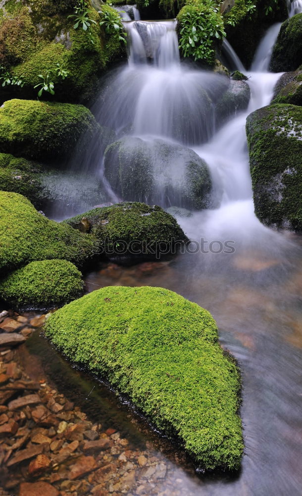 Similar – Natur pur Landschaft