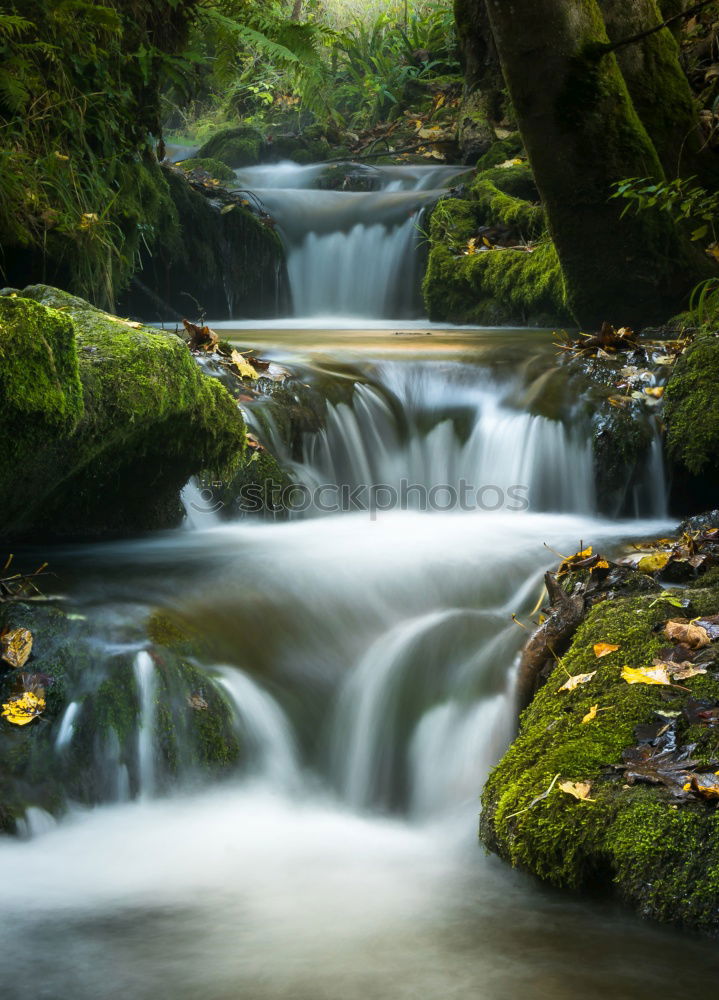 Similar – Image, Stock Photo Soft water Beautiful