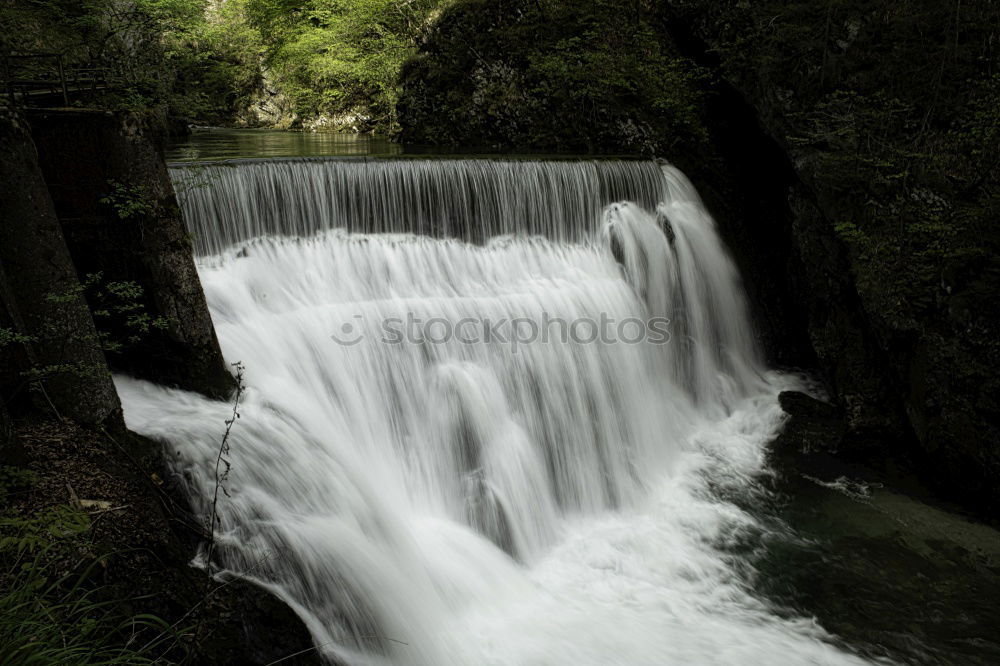 Similar – Image, Stock Photo against the current Tree