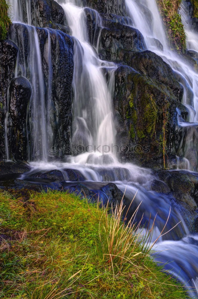 Similar – Foto Bild water falls Natur Pflanze