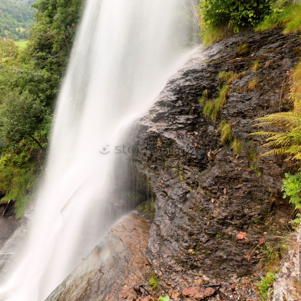 Similar – milford sound Environment