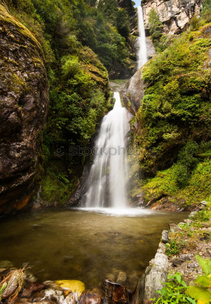 Similar – milford sound Environment