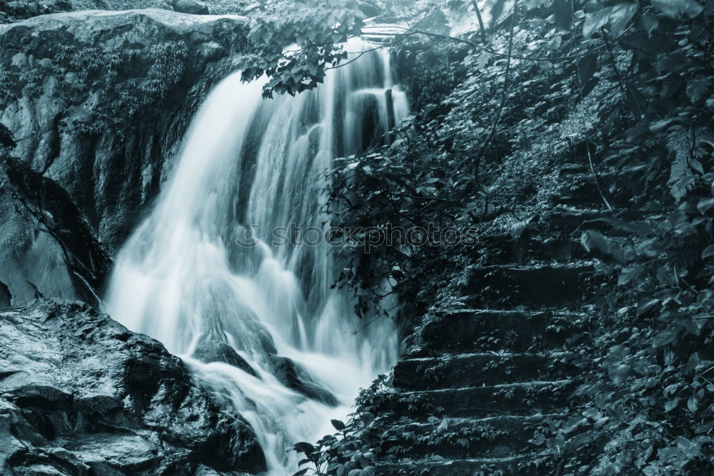 Similar – Image, Stock Photo Göltzsch valley Landscape