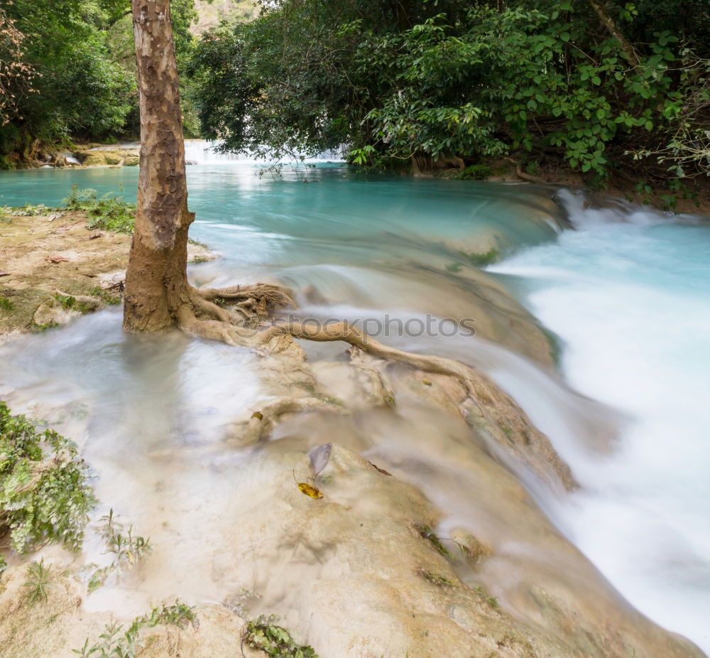 Similar – Image, Stock Photo Young man kayaking on the Dunajec river