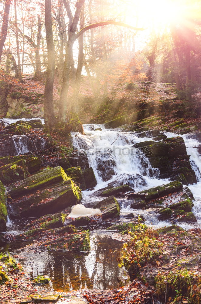 Similar – Woman sitting on a stone bridge in Dartmoor, England