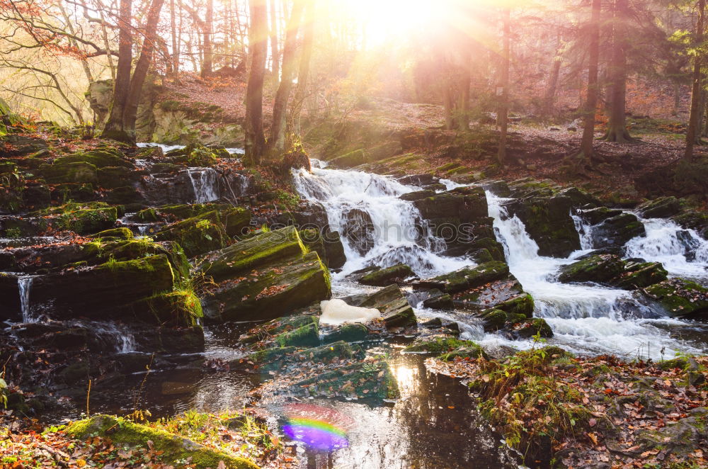 Similar – Woman sitting on a stone bridge in Dartmoor, England