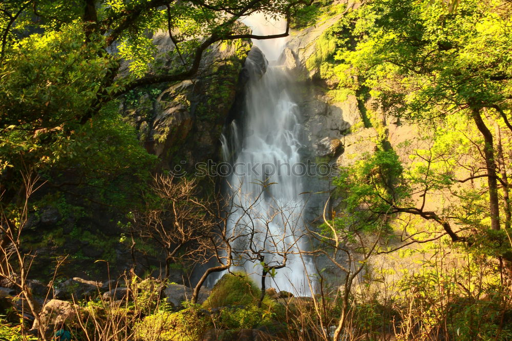 Similar – Wallaman Falls Australia