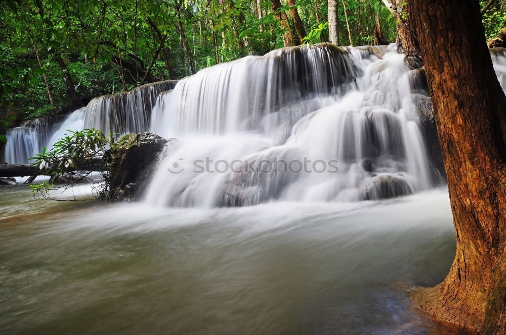 Similar – Foto Bild Krka Umwelt Natur