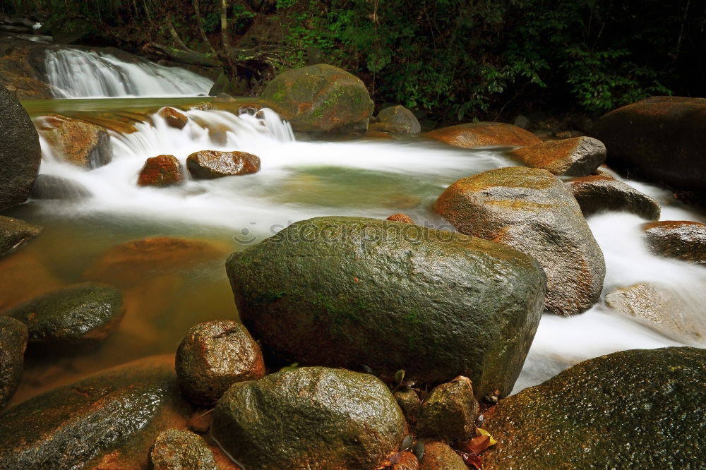 Similar – Unten am Fluss III Wasser