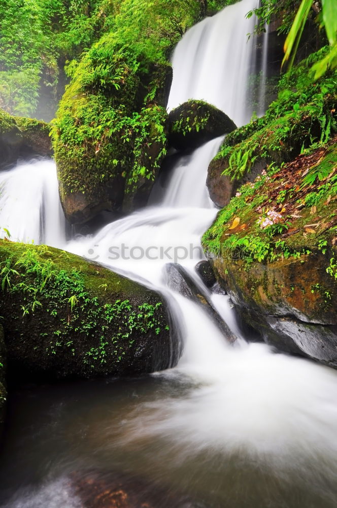 Similar – Image, Stock Photo Waterfall in autumn