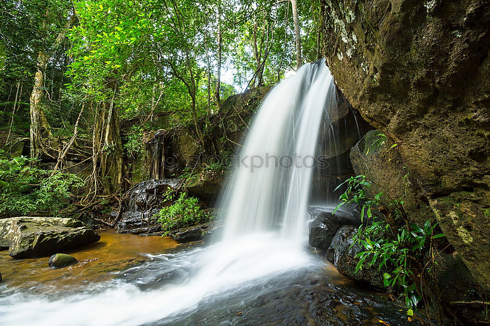 Similar – Image, Stock Photo waterfall Virgin forest