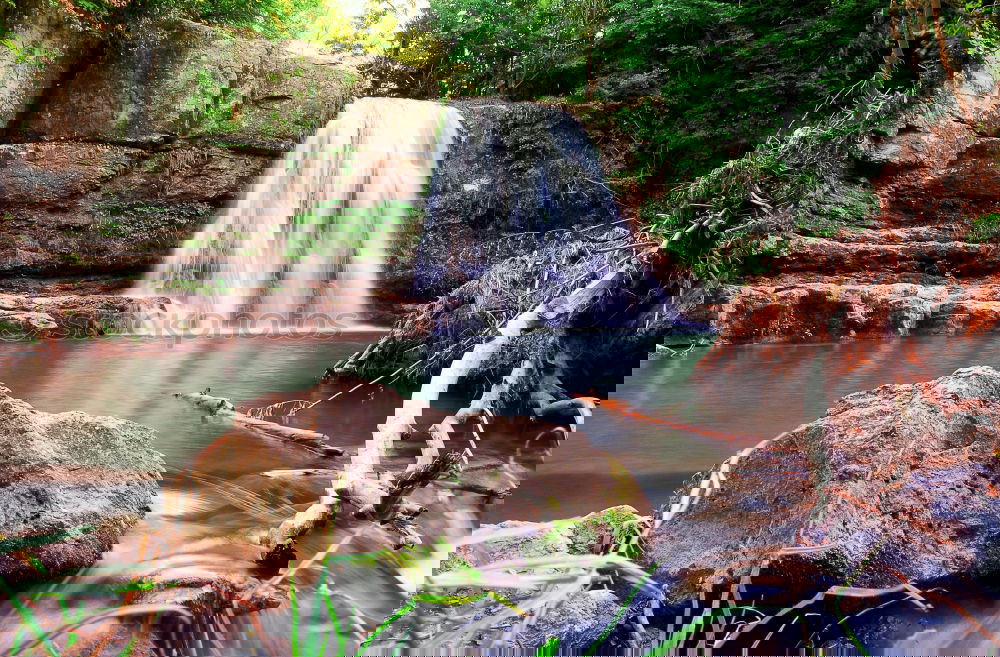 Similar – Image, Stock Photo green Environment Nature