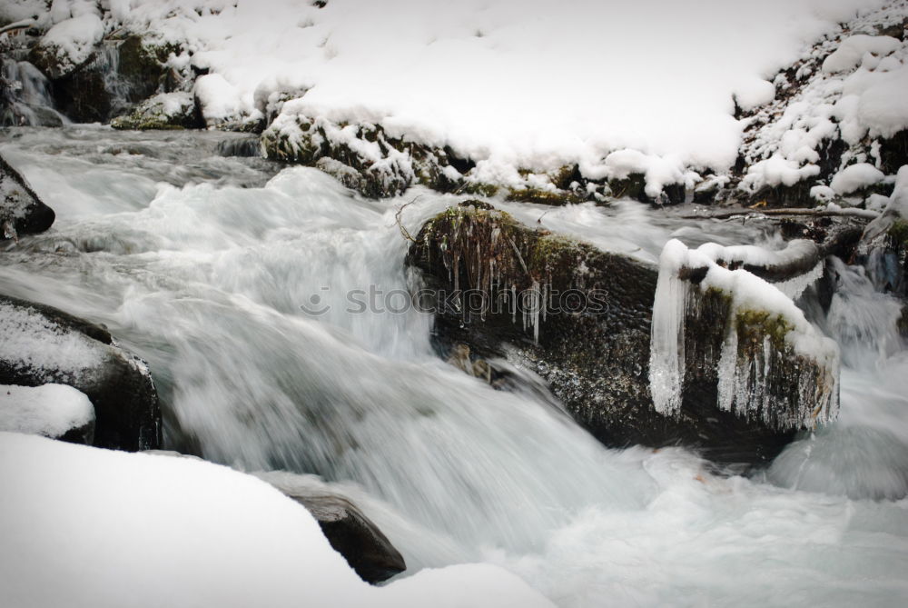 Similar – Image, Stock Photo White water in Black Forest