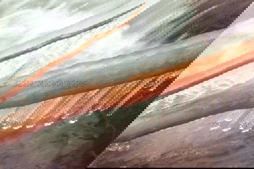Similar – Image, Stock Photo The spun sun Nature Sun