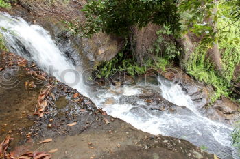 Similar – Image, Stock Photo by the rushing brook….