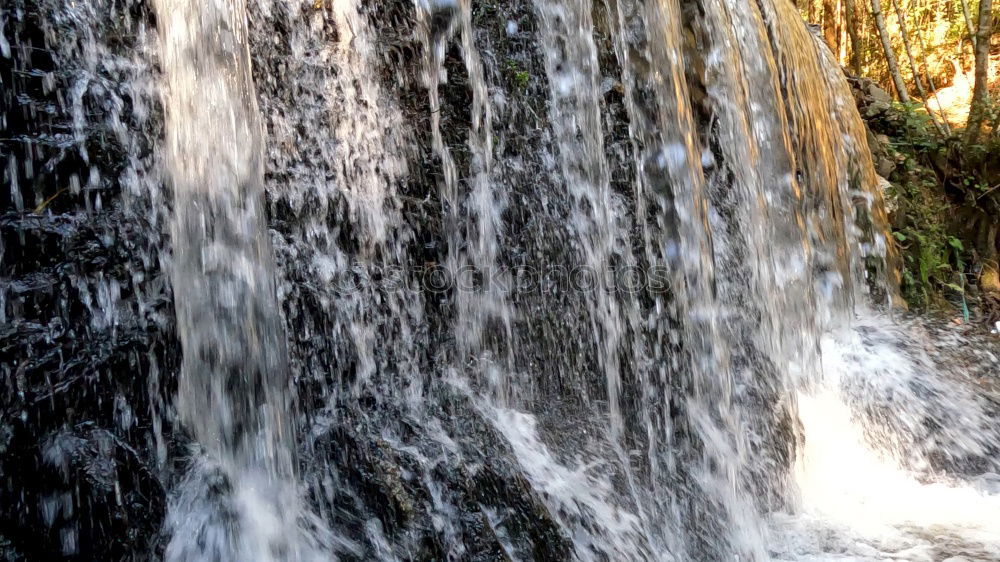 Similar – Foto Bild Quelle Natur Strahlung