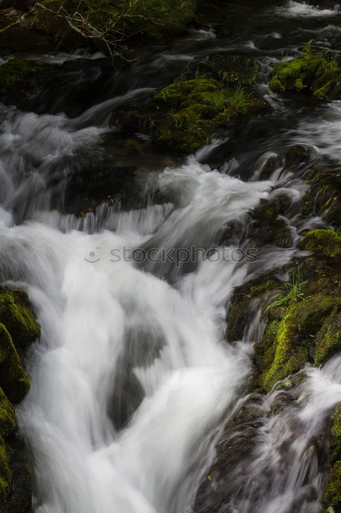 Similar – Image, Stock Photo Beautiful waterfall in the forest