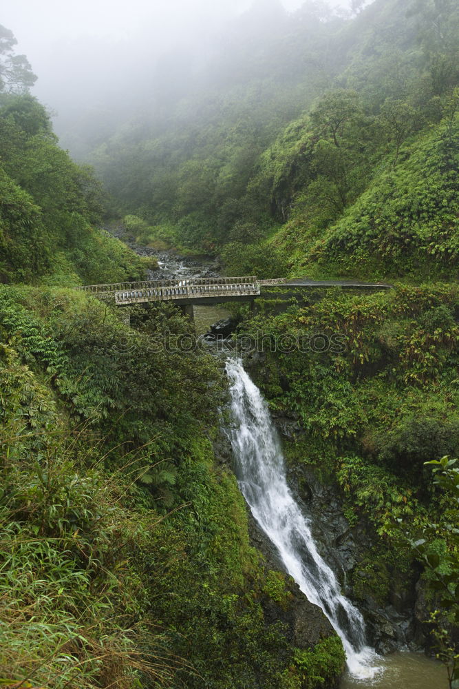 Similar – Foto Bild Wasserfall im Dschungel