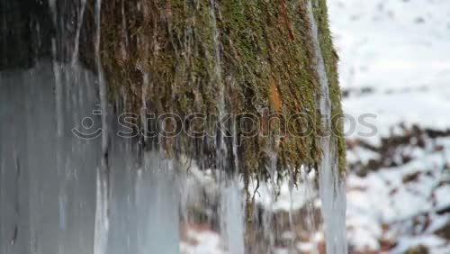 Similar – Image, Stock Photo icily Environment Nature