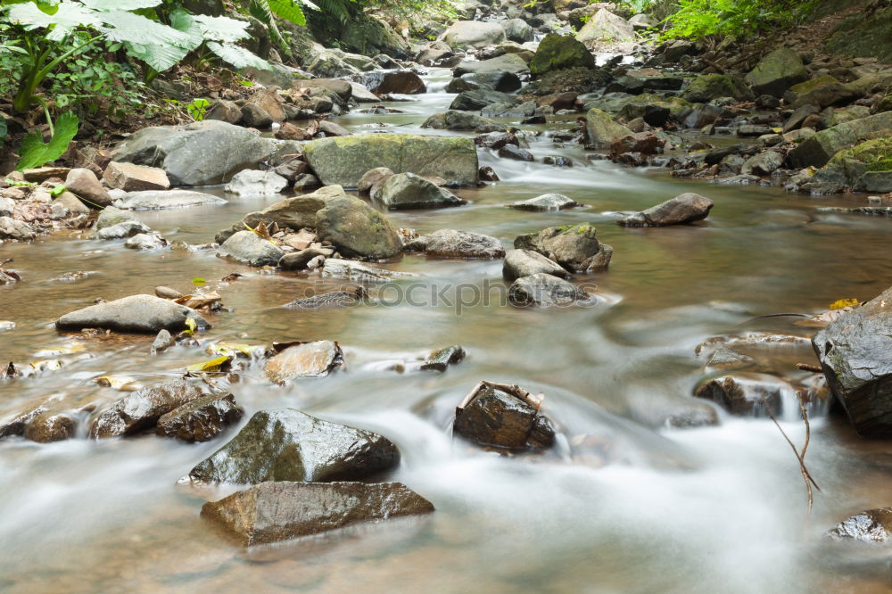 Unten am Fluss III Wasser