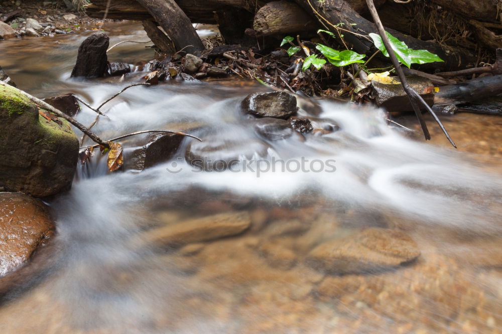 Similar – Bergbach again Brook