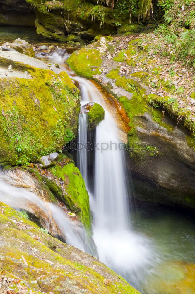 Image, Stock Photo Waterfall in autumn