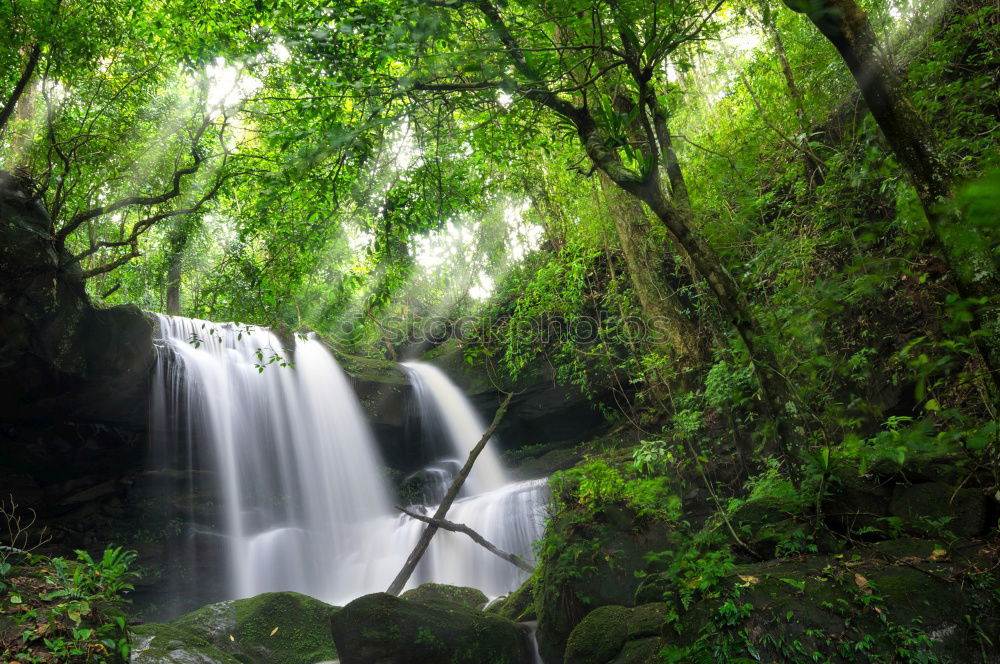 Similar – Image, Stock Photo waterfall Virgin forest