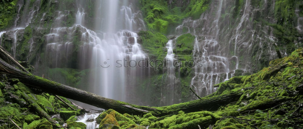 Similar – Foto Bild Wasserfall Bach dunkel