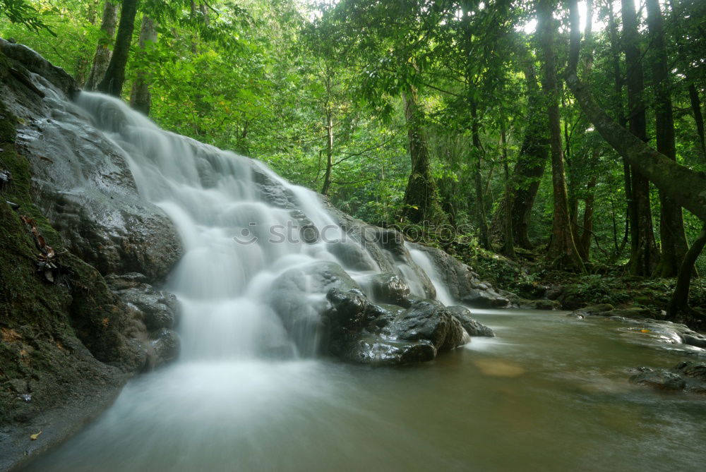 Similar – YS Waterfall Jamaica