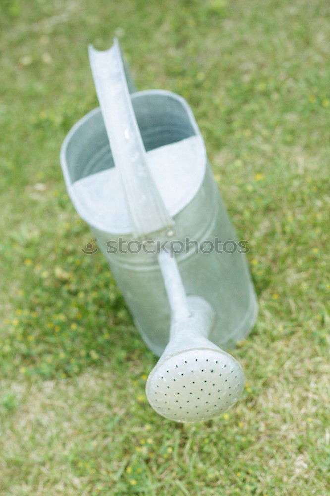 Similar – a badminton ball is lying on a badminton racket in the grass