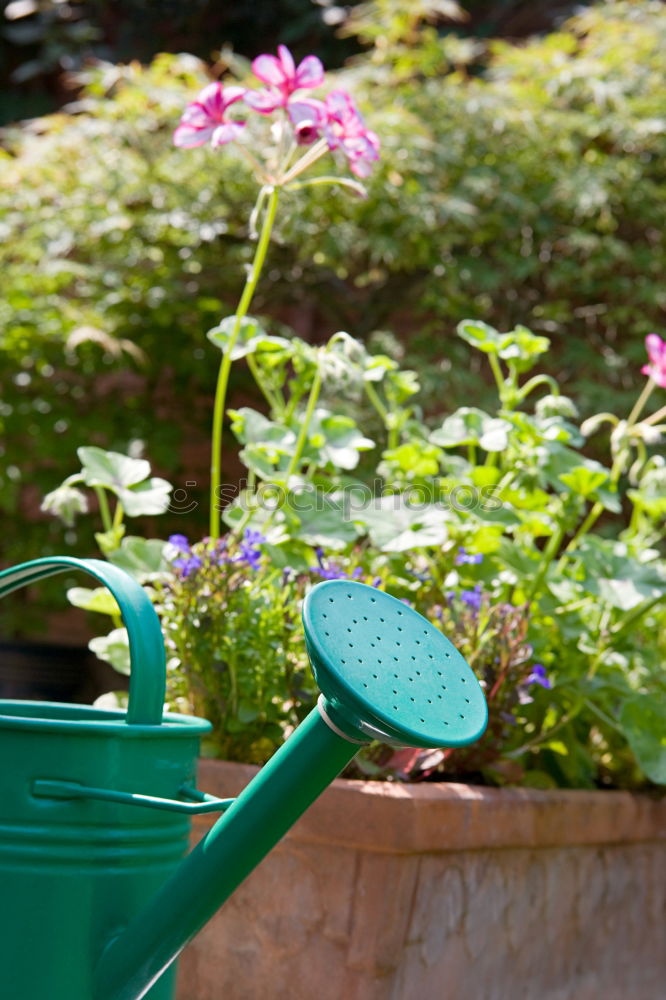 Similar – View into the garden bio bin…