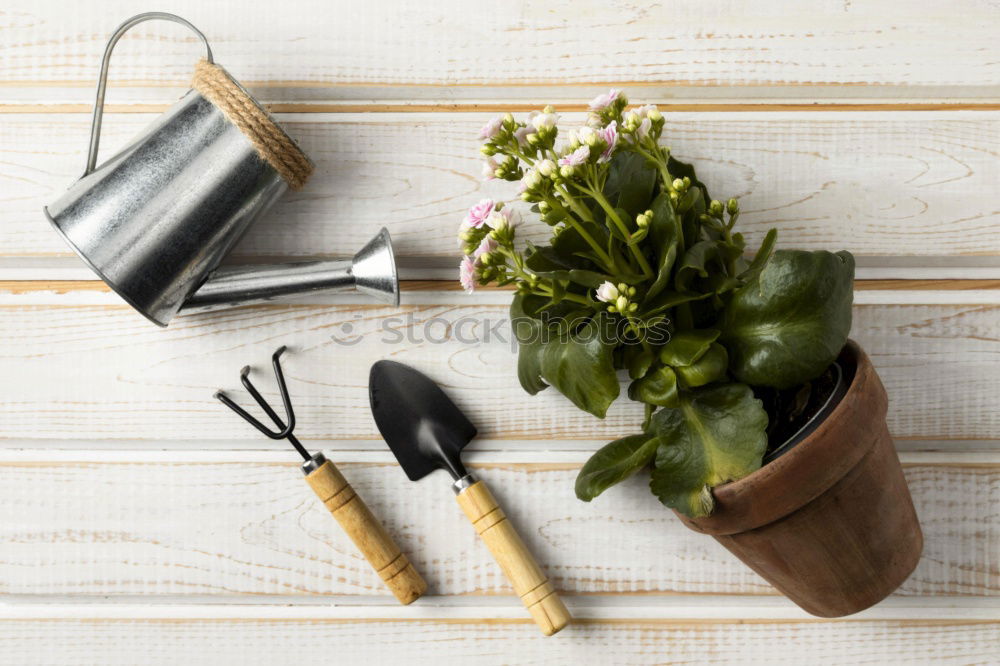 Similar – Image, Stock Photo rustic gardener set on white backround.