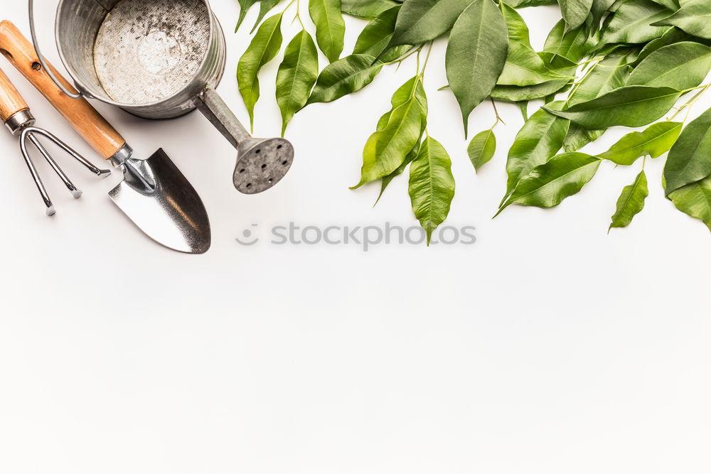 Similar – Hand shovel and garden flowers