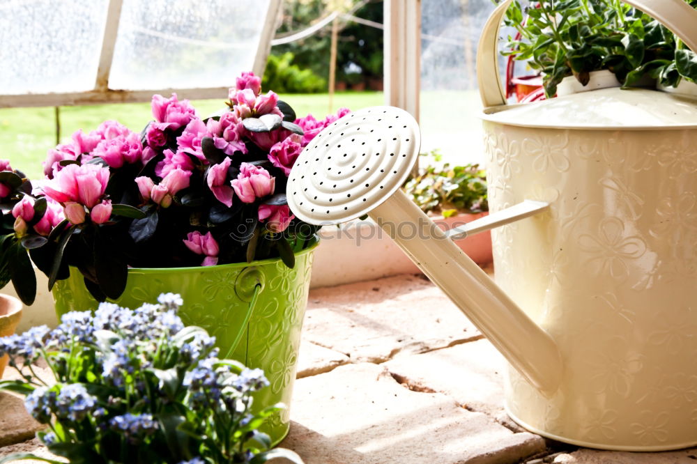 Similar – Flower pots on terrace or balcony