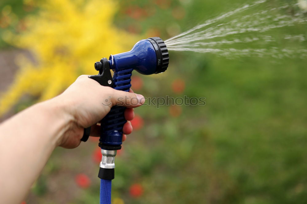 Similar – Image, Stock Photo Watering Summer Garden