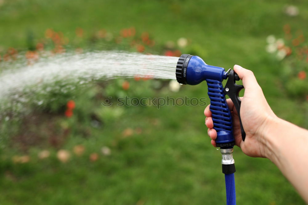 Similar – Image, Stock Photo Watering Summer Garden