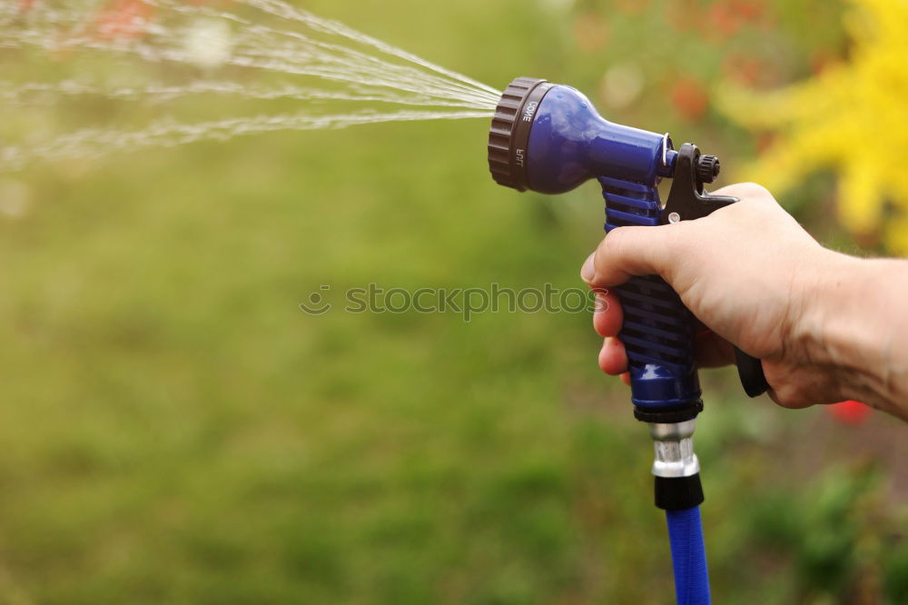 Similar – Image, Stock Photo Watering Summer Garden