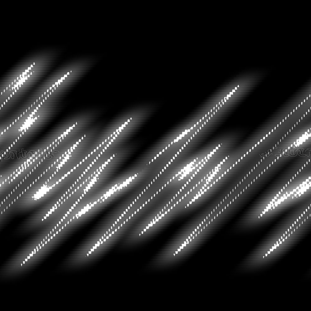 Similar – Image, Stock Photo night1 Night Light Club