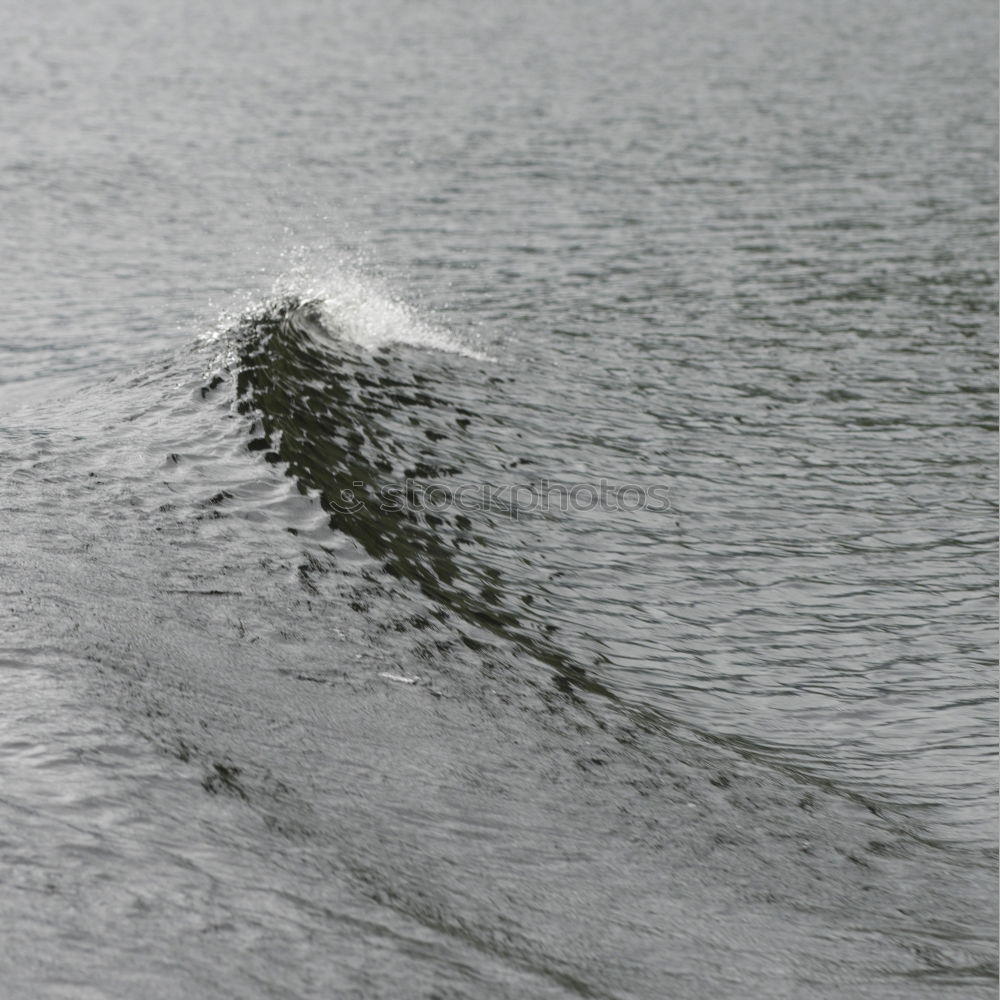 Similar – Foto Bild Wasserski Neopren nass