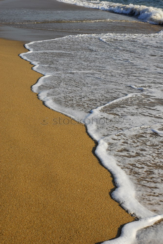 Similar – Traces in the sand Sand