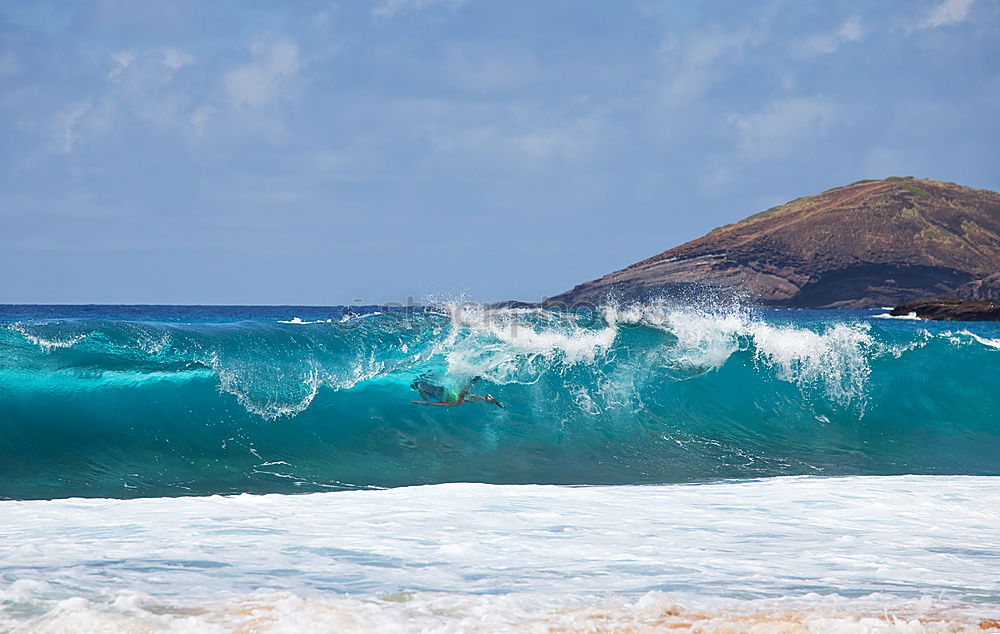 Similar – Image, Stock Photo Oahu / Hawaii