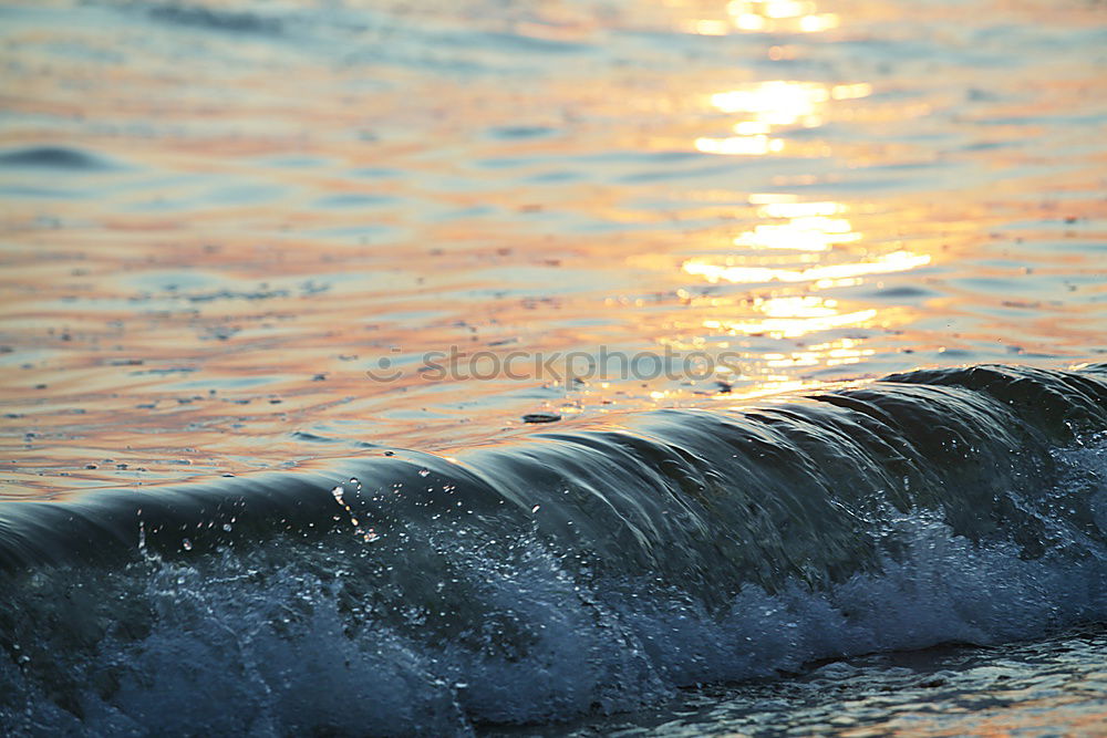 Orange Sea. Environment