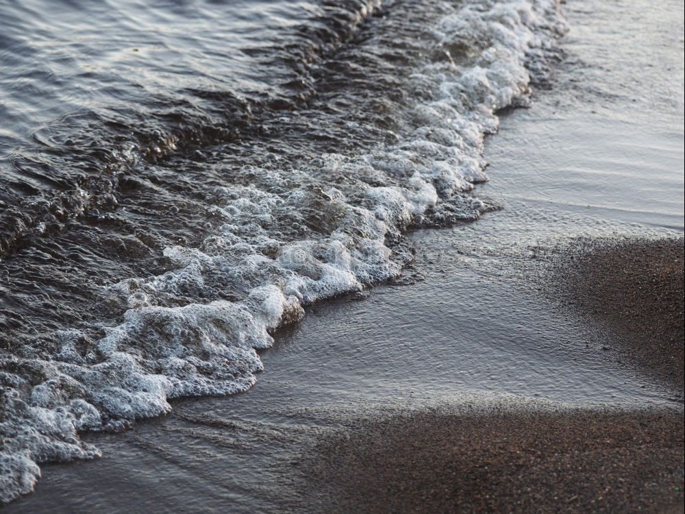 Similar – Image, Stock Photo puny /tree remains on a dune. Down the high sandy beach there are some smaller stones in front of the foaming light surf.