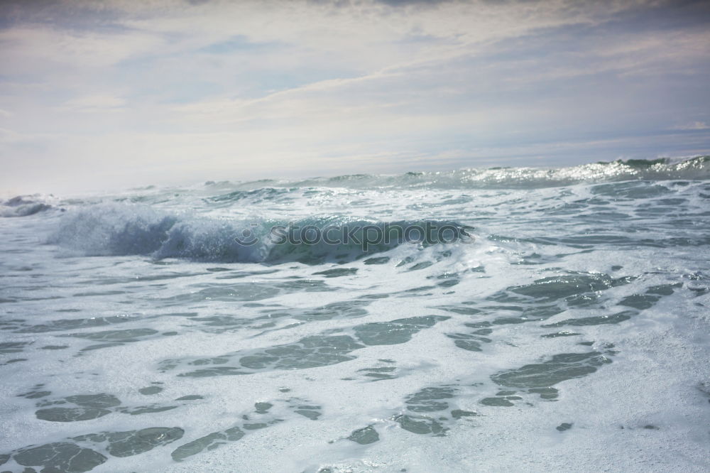 Similar – Seagulls over the Baltic Sea waves IV