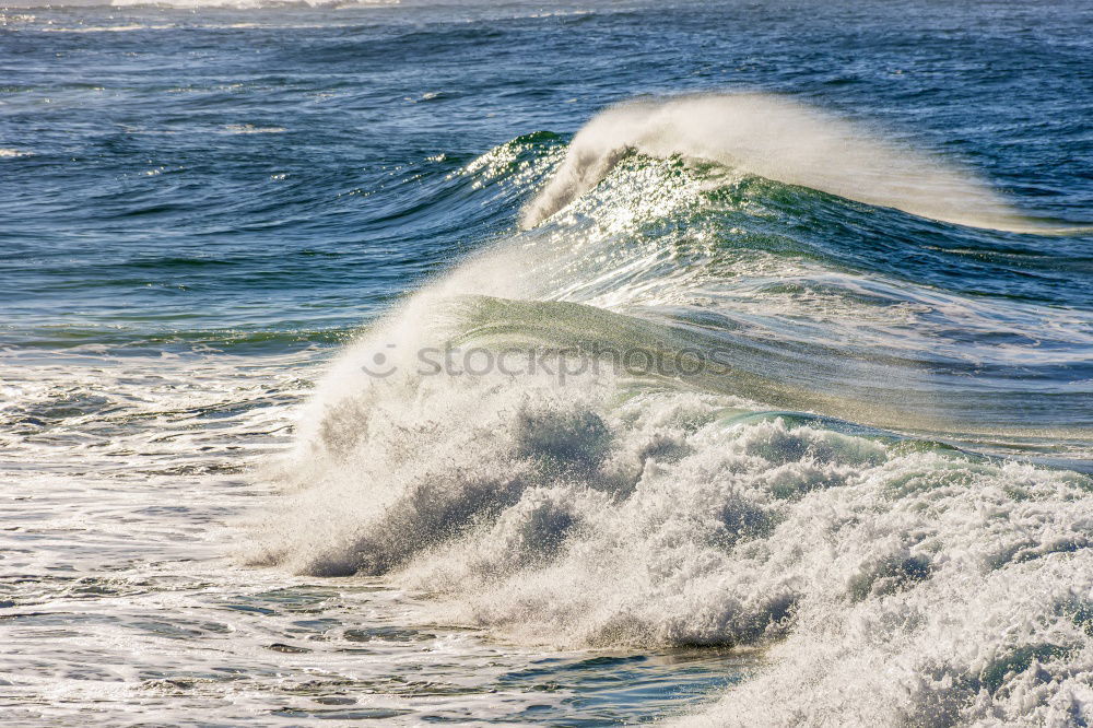 Similar – Image, Stock Photo Dolphin wanted Environment