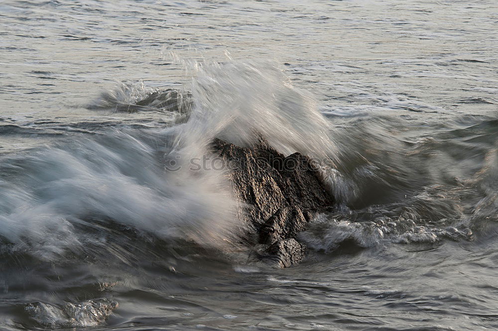 Similar – Foto Bild Ostsee Gischt Schaum