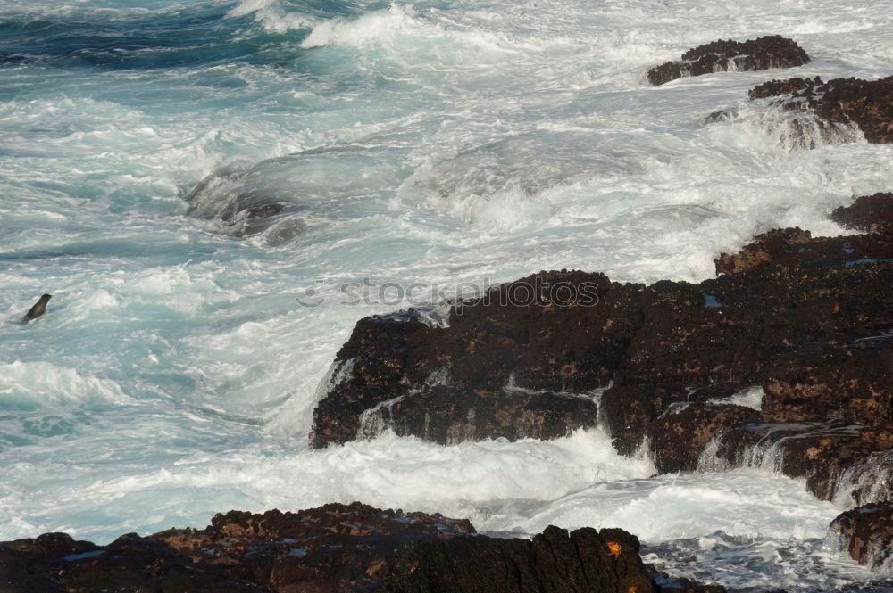 Similar – Marine habitats from above