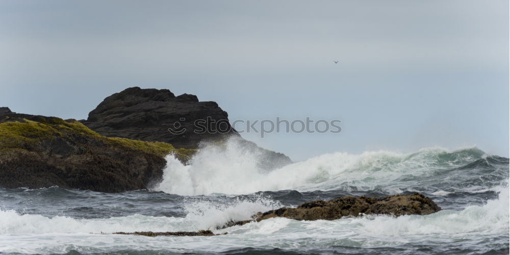 Scottish coast